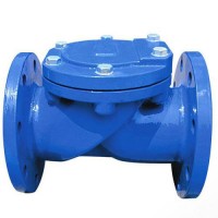 Sand casting ductile cast iron casting Y Strainer With Flange  Iron Body